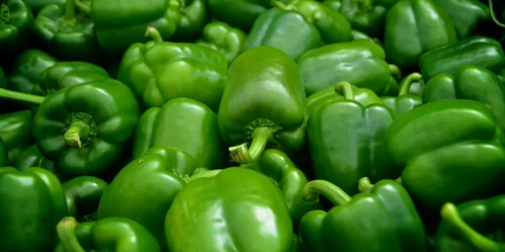 Green Bell Peppers Just $0.99 per pound at ShopRite!