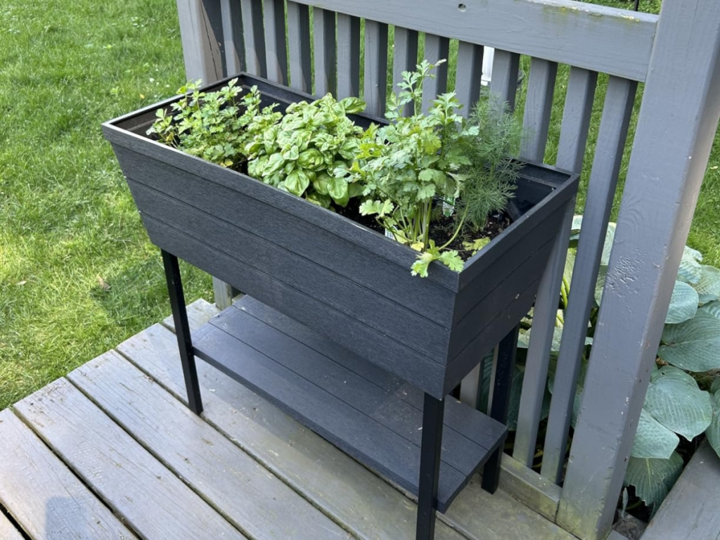 Keter Self Watering Raised Garden Bed Just $46.99 Shipped on Amazon (Reg. $100) Keter Self Watering Raised Garden Bed Just $46.99 Shipped on Amazon (Reg. $100)