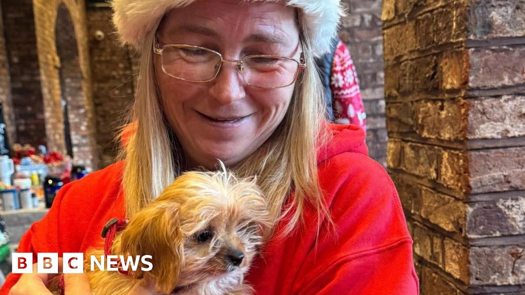 The pet food banks keeping animals with their owners The pet food banks keeping animals with their owners