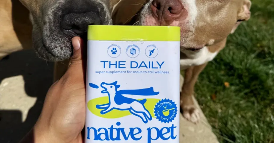 Up to 40% Off Native Pet on Amazon | The Daily Vitamin Meal Topper Only $11.99 Shipped can of Native Pet The Daily supplement being smelled by two dogs