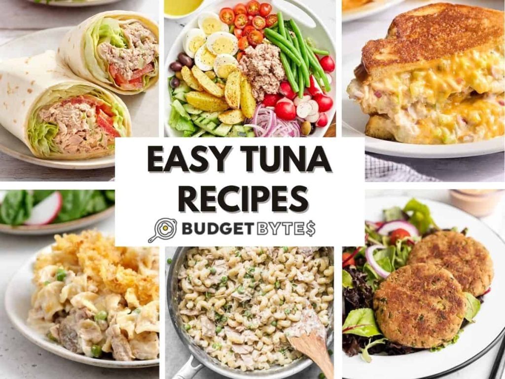 14 Tuna Recipes – Budget Bytes A collage of easy tuna recipes.