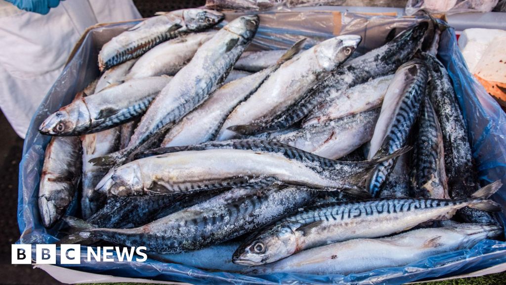 Waitrose to suspend mackerel sales due to overfishing concerns Waitrose to suspend mackerel sales due to overfishing concerns