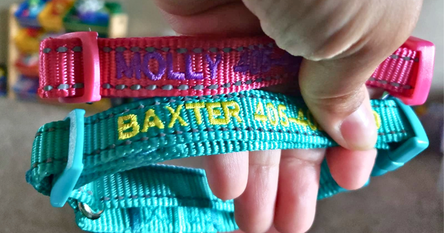 Personalized Dog Collars Only $6.99 on Amazon hand holding two embroidered dog collars