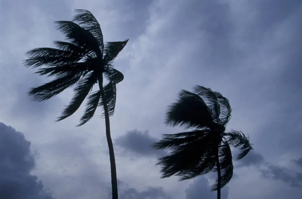 Storm update: Kona storm disrupts travel to Hawaii Storm update: Kona storm disrupts travel to Hawaii