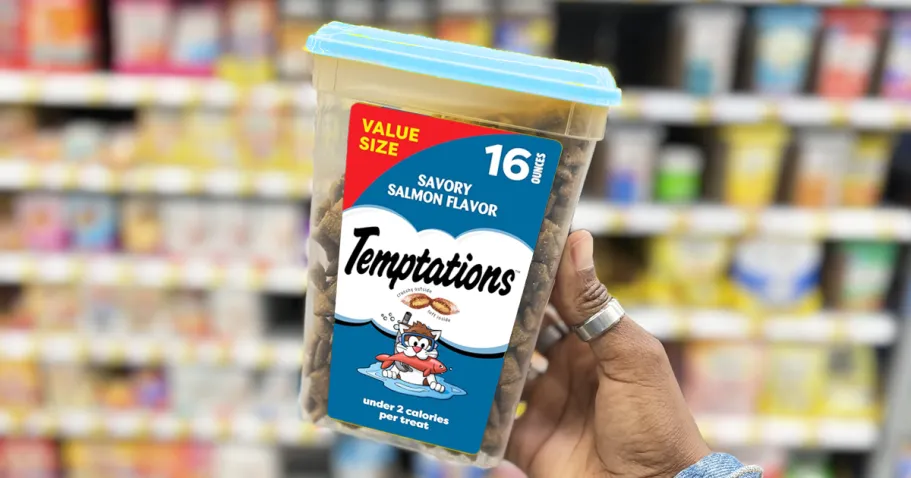 Temptations Cat Treats Tub Just $6.64 Shipped on Amazon hand holding up a container of Temptations Cat Treats in store