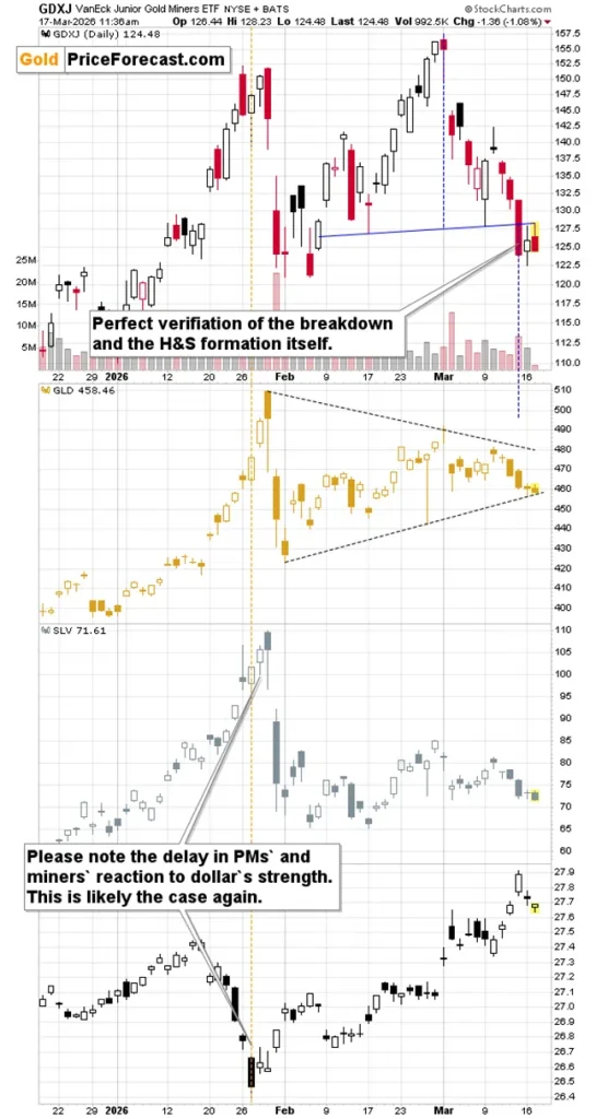 Topping Bitcoin & Other Clues for Gold & Silver Investors