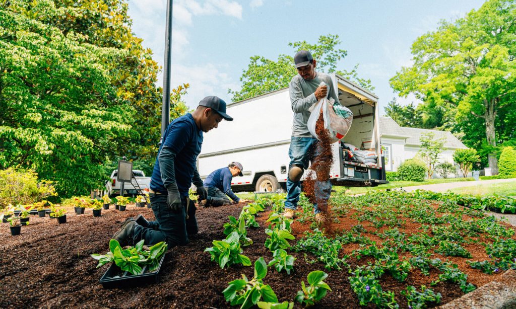 Landscaping Insurance: Best Companies, Cost and Coverage Professional Landscaper Hispanic Crew proudly working together to Plant a Flowerbed in a Public Neighborhood Park Median Green Space. Photo taken in Tennessee, USA (Southern USA)