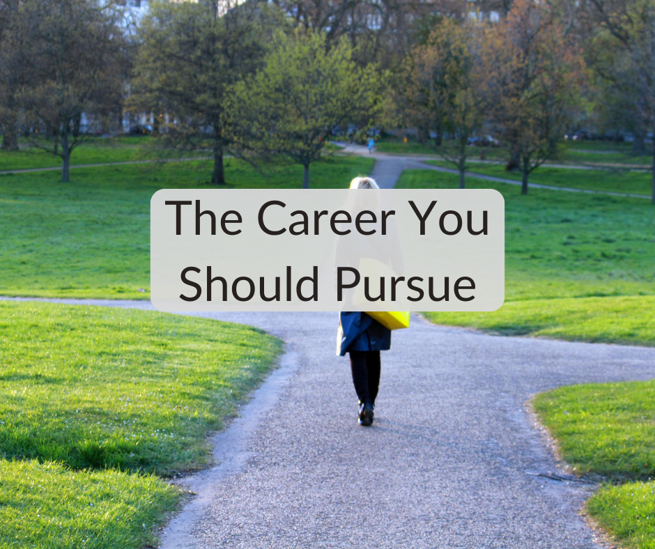 The Career You Should Pursue The Career You Should Pursue