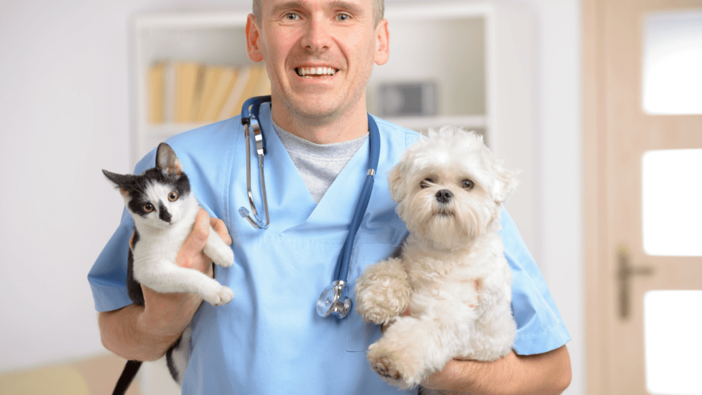 14 Best Cheap Vets Near Me - Save On Your Pet's Care Today!