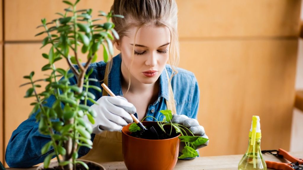 Serious Woman Gardening