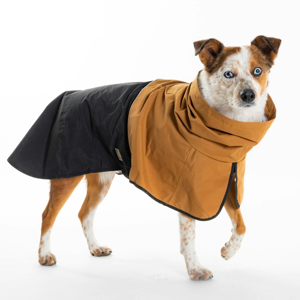 Carhartt Durable Dog Rain Jacket w/ Waterproof Storm Defender Material & Adjustable Straps (Sz S): $28 Carhartt Durable Dog Rain Jacket w/ Waterproof Storm Defender Material & Adjustable Straps (Sz S): $28