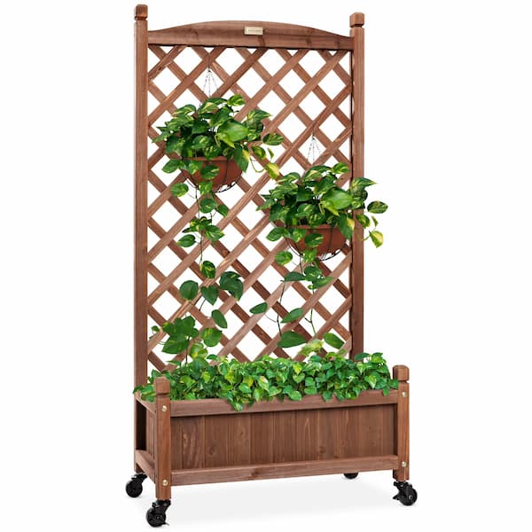 *HOT* Wood Planter Box with Diamond Lattice Trellis only $59.99 shipped! *HOT* Wood Planter Box with Diamond Lattice Trellis only $59.99 shipped!