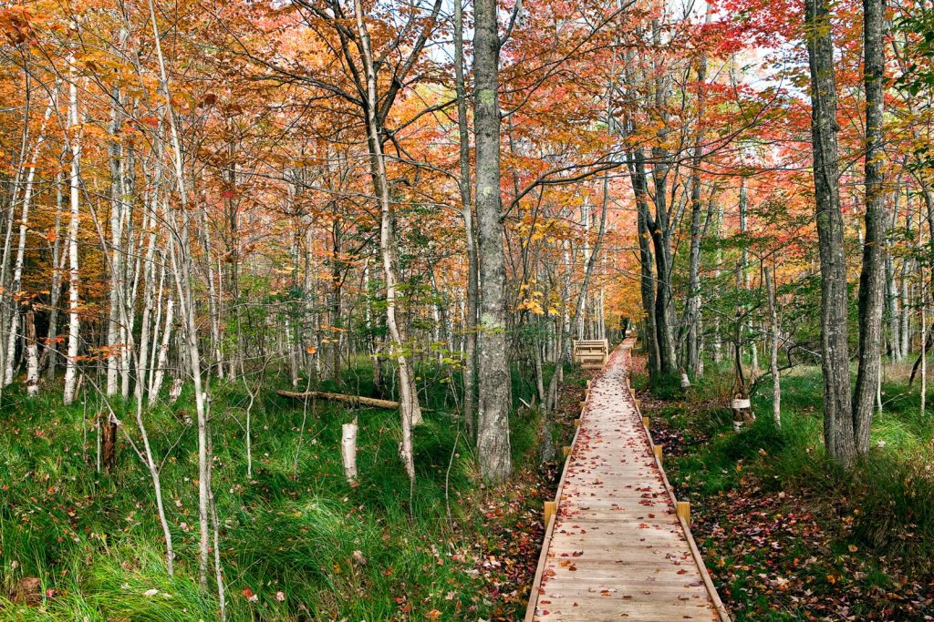 The best US national parks you should visit at least once (or twice) The best US national parks you should visit at least once (or twice)
