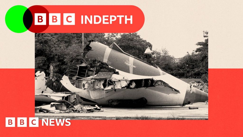 The furious dispute over what caused Air India flight 171 to crash The furious dispute over what caused Air India flight 171 to crash